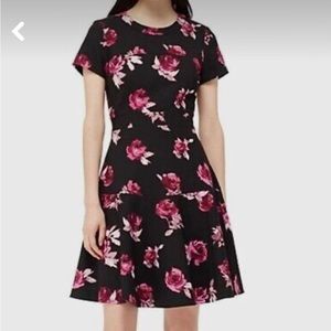 Kate Spade A line Dress with sleeves.